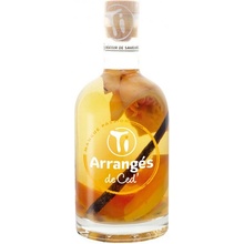 Ti Rhum Arrangés Mango Passion 32% 0,35 l (holá láhev)