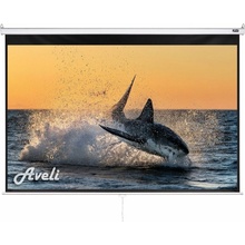 Aveli 175x109cm 16:10 XRT-00104