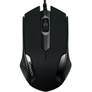 Canyon CNE-CMS10B