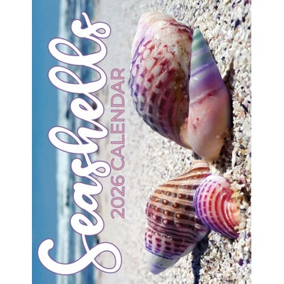 Baldega Books Seashells 2026 Calendar | B. Patrick