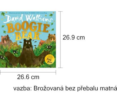 Boogie Bear - David Walliams