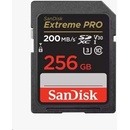 SanDisk SDXC UHS-I 256GB SDSDXXD-256G-GN4IN