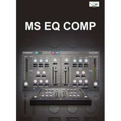 INTERNET Co MS EQ Comp Win