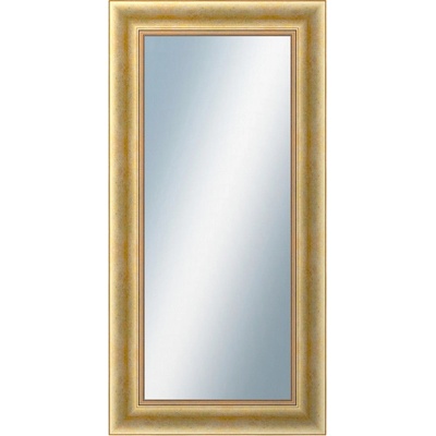 DANTIK KŘÍDLO 50 x 100 cm zlaté 2772