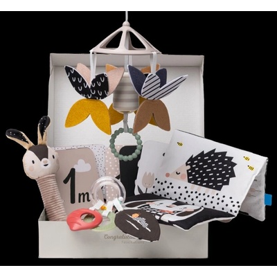 Taf Toys Sada Hračiek Black&White Kit