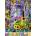 Alipson Puzzle - Puzzle Captured Memories - 500 piese