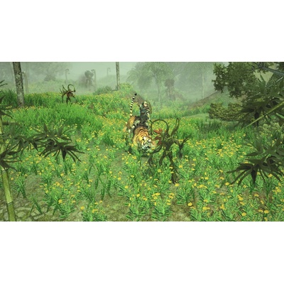 Sacred 2 Remaster Nintendo Switch krabicová verze – Hledejceny.cz
