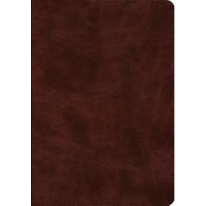 ESV Super Giant Print Bible (ISBN: 9781433558832)