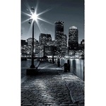 DIMEX ART Флизелинов фототапет бостън 150 x 250 см