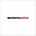 Interpol: Antics LP