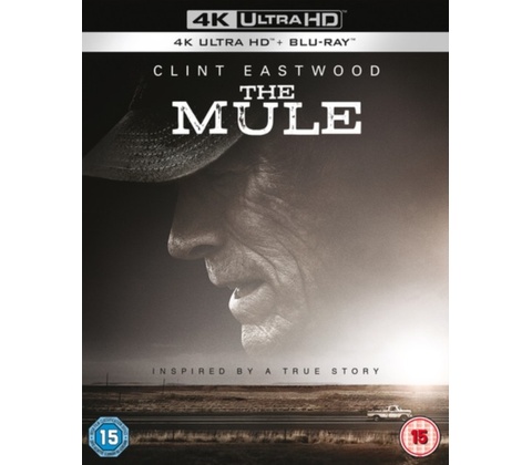 Mule. The BD