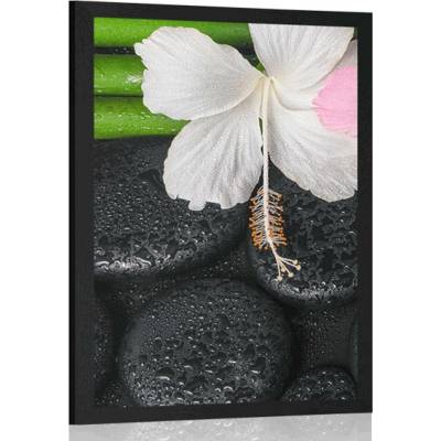 Plagát wellness zátišie - 20x30 no frame