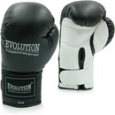 Evolution Basic