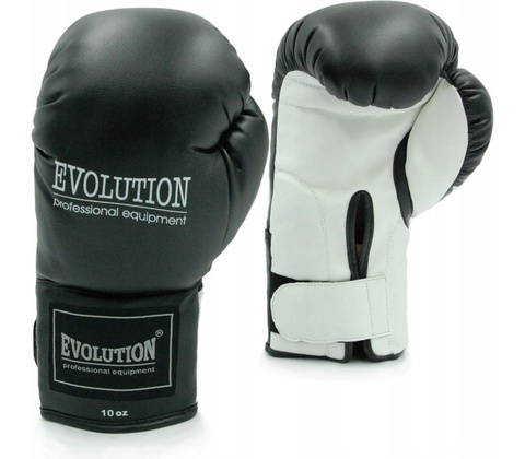 Evolution Basic