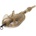 Guru Method Feeder Small X-Safe System 36 g