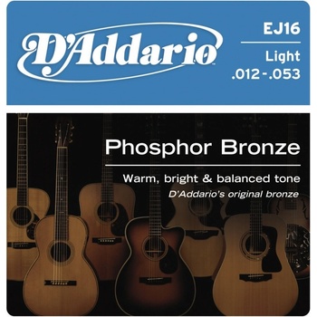 D'addario EJ16