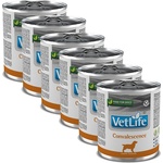Vet Life Convalescence 6x300 g