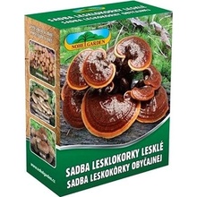 NOHEL GARDEN Lesklokorka lesklá 250ml