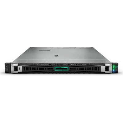 HPE PL DL360g11 NBD333