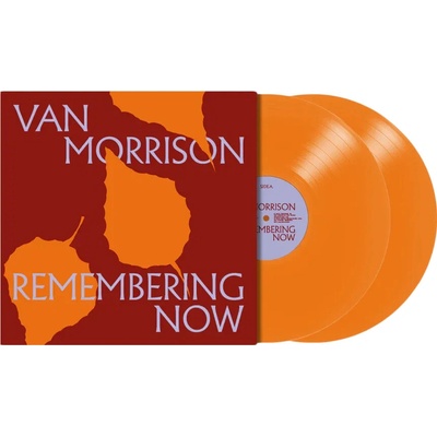 MORRISON, VAN - REMEMBERING NOW 2 LP