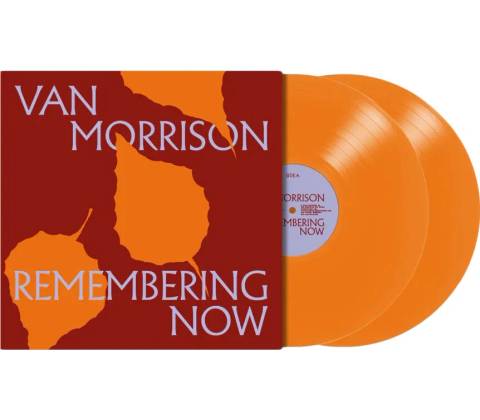 MORRISON, VAN - REMEMBERING NOW 2 LP