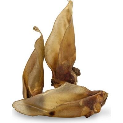 Kiddog 100% Natural Snack Hovädzie ucho Jumbo XXL 20 28 cm 1 ks voľné
