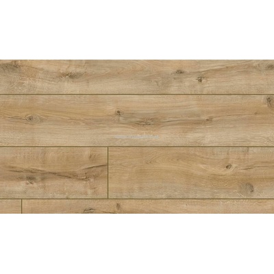 Arteo Aqua Protect 8 XL 54807 Dub Connemara 2,158 m²