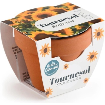 Radis et Capucine Мини теракотена саксия - Слъчнчогледи (pf143120)