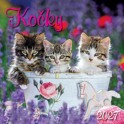 nástěnný KOČKY 2027