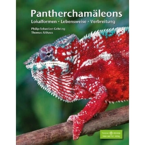 Pantherchamäleons | Philip-Sebastian Gehring, Thomas Althaus (ISBN: 9783866593077)