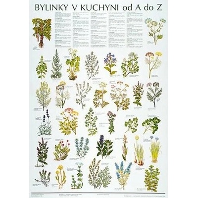 Schéma - Bylinky v kuchyni od A po Z