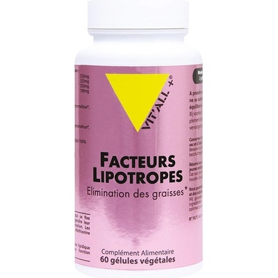 Vit’All+® Липотропни Фактори 60 капсули | Vit’All+® (660047 (LIPOFACG) VP)