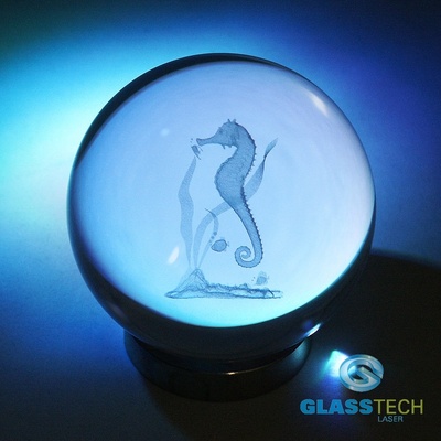 3D Mořský koník v kouli 100 mm