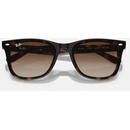 Image 1 of Ray-Ban Havana RB4420 710/13