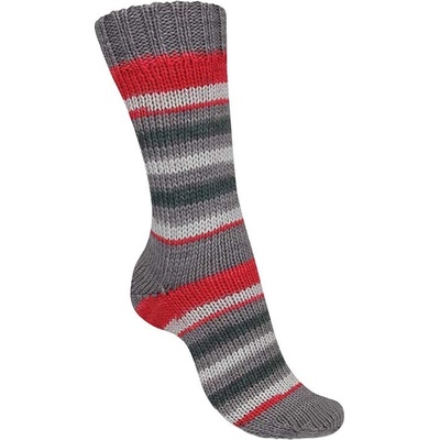 Regia 6-ply Talking Lines Color 5100 Fuchsia-grey