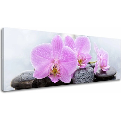 Obraz na plátne FENG SHUI_062-13 - 30x90 cm