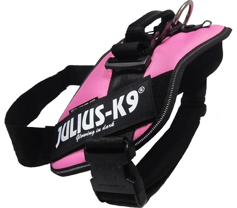 Julius-K9 IDC Postroj Power