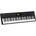 StudioLogic SL73