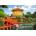 Castorland - Puzzle Beautiful China New collection - 500 piese