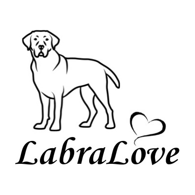 Nažehlovací nápis pes - Love Vzor: 2