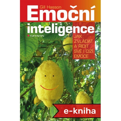 Emoční inteligence