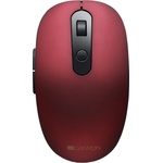 CANYON MW-9 (CNS-CMSW09R)