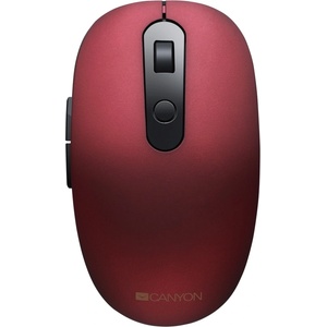 CANYON MW-9 (CNS-CMSW09R)