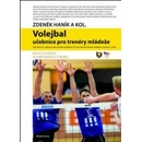 Volejbal