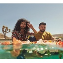 DAN + SHAY - GOOD THINGS CD