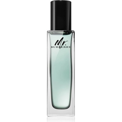 Burberry Mr. Burberry toaletní voda pánská 30 ml