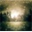 LAST LEAF DOWN - FAKE LIGHTS (1CD)