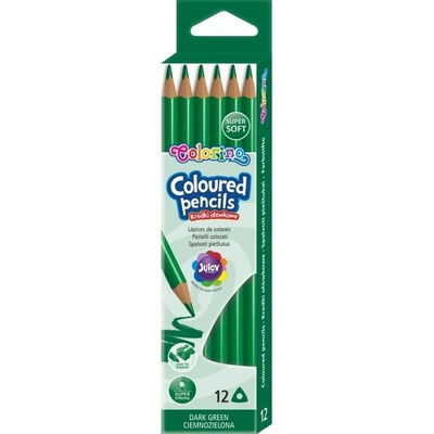 Colorino tmavě zelená R86457PTR