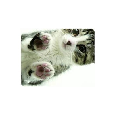 T'nB Пад за мишка TNB Illustrated Kitty, 220 х 180 х 3 мм, С илюстрация, Бял / Сив, office1_2045200072
