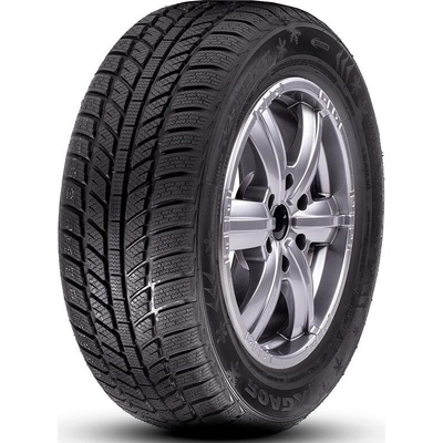 RoadX RX Frost WH01 205/55 R16 91H